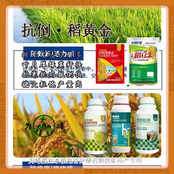 500毫升瓶裝水稻抗倒成分，稻黃金廠家招商水稻葉面肥
