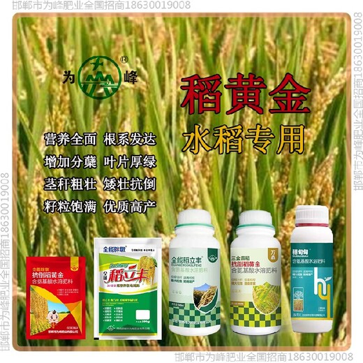 水稻水稻抗倒貼牌，稻黃金廠家招商水稻葉面肥