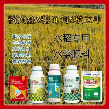 水稻為峰肥業(yè)水稻抗倒控旺劑，稻黃金廠家招商水稻葉面肥