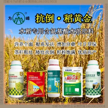增產(chǎn)為峰肥業(yè)水稻抗倒控旺劑，稻黃金廠家招商水稻葉面肥