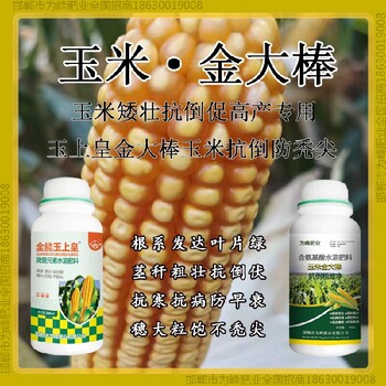 小包裝金玉得樂玉米抗倒抗倒藥金大棒玉黃金金得樂玉上皇廠家