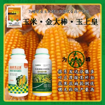 一袋一桶水金大棒玉米抗倒農(nóng)藥金大棒玉黃金金得樂玉上皇廠家