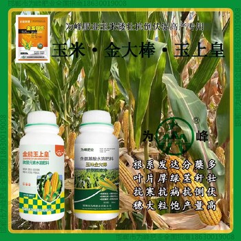 小包裝金大棒玉米抗倒控旺劑金大棒玉黃金金得樂(lè )玉上皇廠(chǎng)家