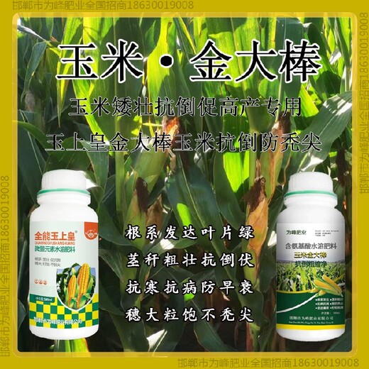 增產(chǎn)胖墩玉米抗倒農(nóng)藥金大棒玉黃金金得樂(lè)玉上皇廠家