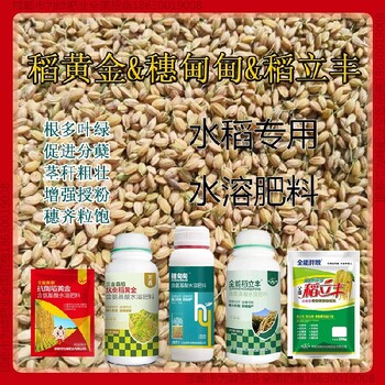 水稻稻黃金水稻抗倒起什么作用，稻黃金廠家招商水稻葉面肥