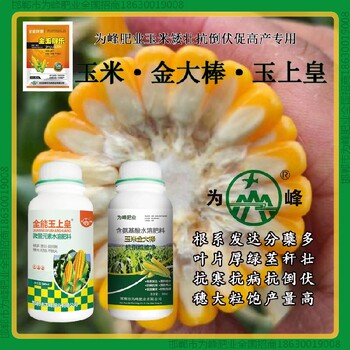 500毫升瓶裝玉米抗倒質(zhì)量好金大棒玉黃金金得樂玉上皇廠家