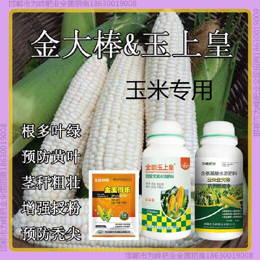 小包裝胖墩玉米抗倒農藥金大棒玉黃金金得樂玉上皇廠家
