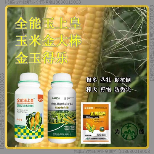 金玉得樂玉米抗倒成分金大棒玉黃金金得樂玉上皇廠家