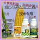 小包裝金大棒玉米抗倒圖