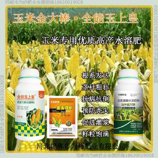 小包裝金玉得樂(lè)玉米抗倒哪里買(mǎi)賣(mài)金大棒玉黃金金得樂(lè)玉上皇廠(chǎng)家