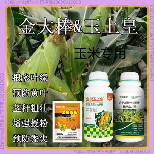 500毫升瓶裝為峰肥業(yè)玉米抗倒金大棒玉黃金金得樂玉上皇廠家