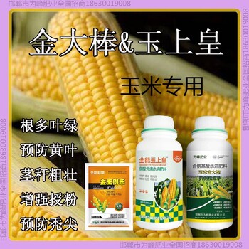 增產(chǎn)金玉得樂(lè )玉米抗倒調節劑金大棒玉黃金金得樂(lè )玉上皇廠(chǎng)家