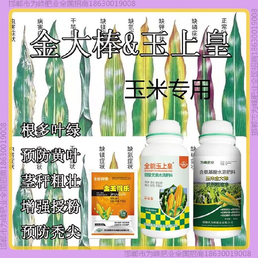 控旺增產(chǎn)素玉米抗倒農(nóng)藥金大棒玉黃金金得樂玉上皇廠家