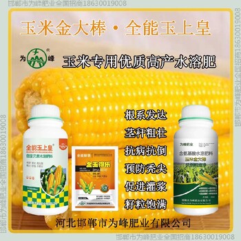 500毫升瓶裝玉米抗倒產(chǎn)量高金大棒玉黃金金得樂玉上皇廠家