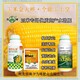 增產(chǎn)素玉米抗倒圖