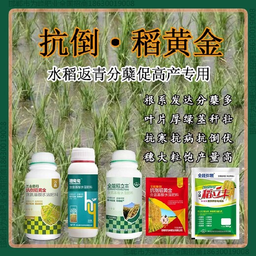 增产素水稻抗倒控旺剂，稻黄金厂家招商水稻叶面肥