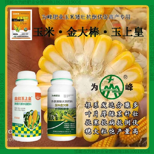 金玉得樂(lè )玉米抗倒是什么金大棒玉黃金金得樂(lè )玉上皇廠(chǎng)家