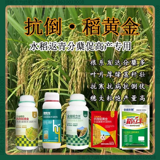 缩节为峰肥业水稻抗倒使用说明，稻黄金厂家招商水稻叶面肥