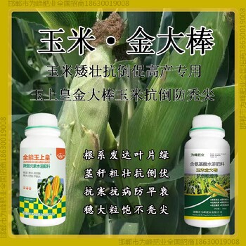 增產(chǎn)增產(chǎn)素玉米抗倒起什么作用金大棒玉黃金金得樂玉上皇廠家
