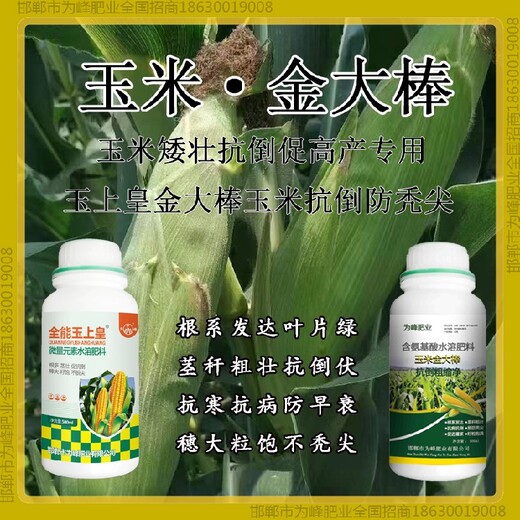 控旺金玉得樂玉米抗倒招商金大棒玉黃金金得樂玉上皇廠家