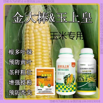 玉米为峰肥业玉米抗倒增产剂金大棒玉黄金金得乐玉上皇厂家