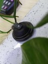 多路錄音系統-集中錄音系統-窗口錄音系統