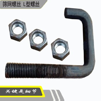 海南好用的篩網(wǎng)螺絲礦用
