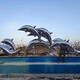 从事不锈钢海豚雕塑图