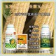 玉米抗倒成分圖