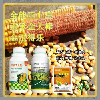 一袋一桶水增產(chǎn)素玉米抗倒定做金大棒玉黃金金得樂玉上皇廠家