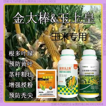 增產(chǎn)素玉米抗倒是哪個(gè)公司的金大棒玉黃金金得樂玉上皇廠家