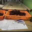 杭州ABS塑料件注塑加工,注塑模具