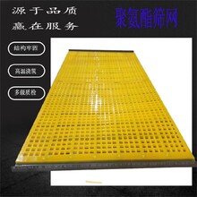 聚氨酯細(xì)篩網(wǎng)方孔4毫米煤化工篩網(wǎng)圖片