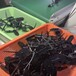 浙江衢州ABS塑料件注塑加工操作流程
