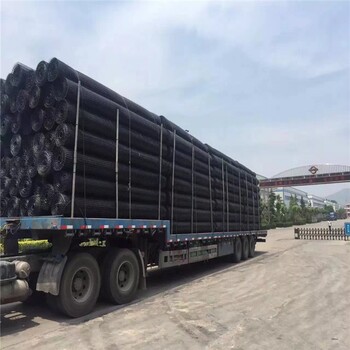 扬州TGDG单向土工格栅厂家-润杰-塑料格栅网