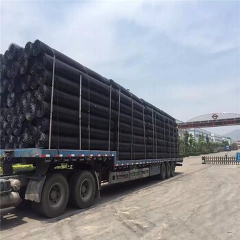 TGSG50KN土工格柵價(jià)格生產(chǎn)廠家遼寧撫順雙向拉伸土工格柵