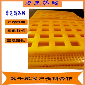 聚氨酯篩網(wǎng)圖片壓條式抗撕裂篩網(wǎng)