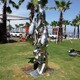 室外圖