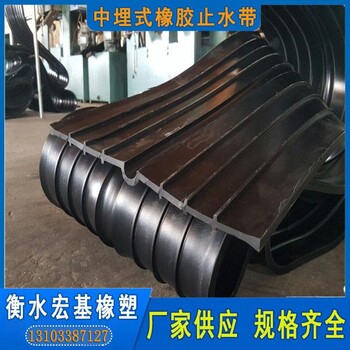 651橡膠止水帶建筑可卸用橡膠止水帶A宏基橡塑