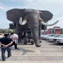 杭州慶典巡游載人機(jī)械大象租賃廠家,載人巡游機(jī)械大象