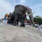 徐州巡游機(jī)械大象定制出售報(bào)價(jià),載人巡游機(jī)械大象圖片