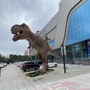 全新一批恐龍出租租賃全國接單仿真恐龍租售均可以的