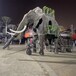 阜阳载人展览巡游机械大象出售,载人巡游机械大象