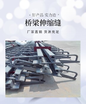 麗水e80公路橋梁伸縮縫