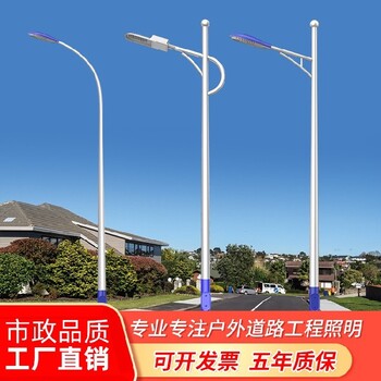 湖北孝感LED路燈生產廠家-異型路燈按圖紙設計