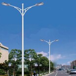 山西运城LED路灯厂家定制-路灯设计方案图片4