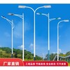 浙江台州LED路灯户外照明厂家-异型路灯按图纸设计