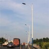 河北衡水LED路灯本地生产厂家-路灯设计方案
