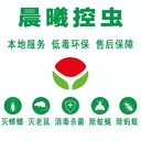 岱岳區(qū)逮老鼠晨曦控蟲專業(yè)團(tuán)隊(duì)