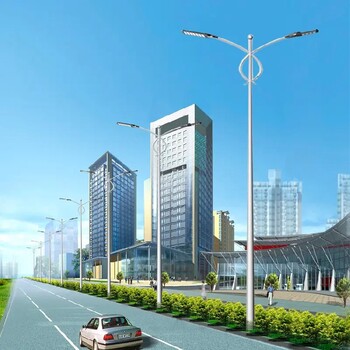 山西陽泉LED路燈本地定制生產(chǎn)廠家-雙臂路燈款式多